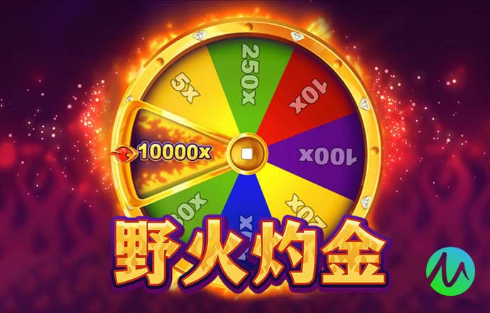 大发彩票app657